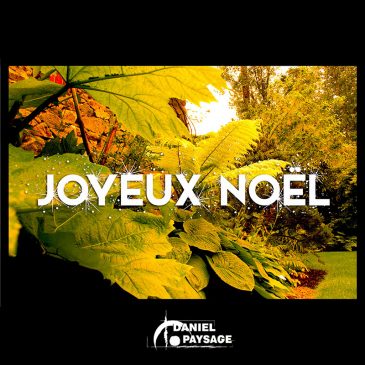 Joyeuses fêtes 2018