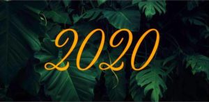 Voeux 2020