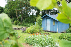 abri de jardin bleu dans potager