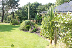jardin plourivo arbore avec vivaces