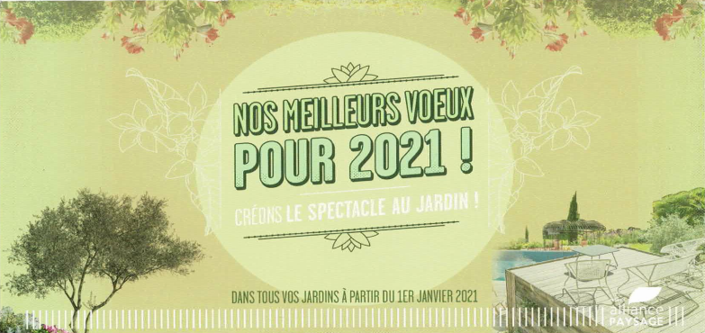 Meilleurs vœux 2021